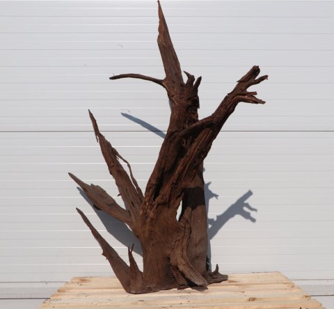 Malaysian Driftwood Giant XXXL - korzeń 150cm