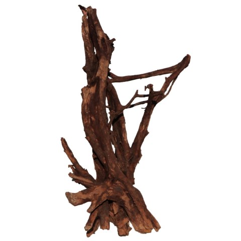 Malaysian Driftwood Giant XXXL - korzeń 150cm