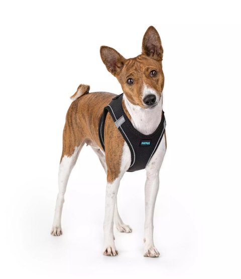 Happet Air Comfort XL brązowe – szelki/puszorek dla psa 12–16 kg