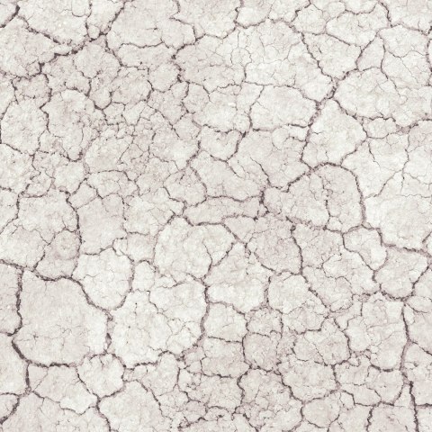 Terrario Great Sunland 1kg - biała glina do terrarium