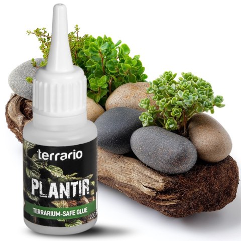 Terrario Plantir 20g - klej do dekoracji kamieni i korzeni w terrarium
