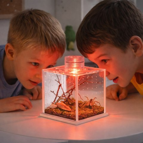 Terrario SpiderNook L - mini terrarium akrylowe z oświetleniem