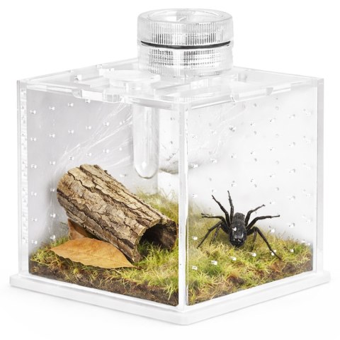 Terrario SpiderNook M - mini terrarium akrylowe z oświetleniem