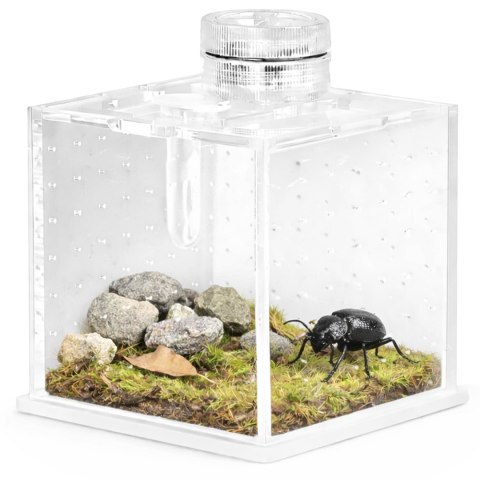Terrario SpiderNook M - mini terrarium akrylowe z oświetleniem