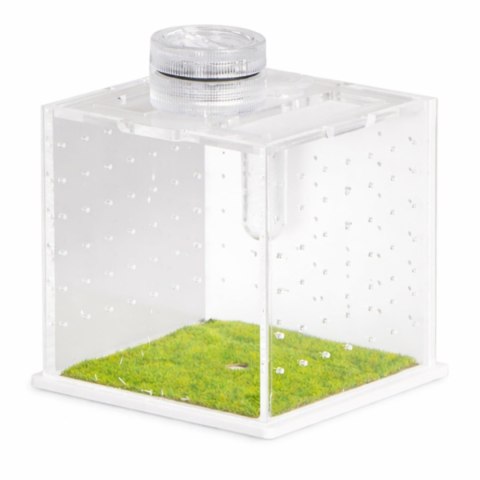 Terrario SpiderNook M - mini terrarium akrylowe z oświetleniem
