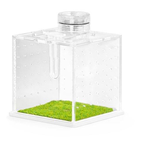 Terrario SpiderNook M - mini terrarium akrylowe z oświetleniem