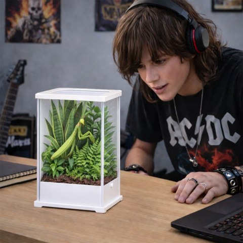 Terrario TerraLoom L - terrarium 12x10x20cm