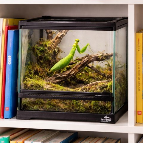 Terrario TerraVista Luma - terrarium 20x20x20cm