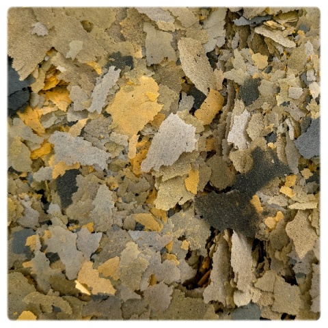 Tropical Bio-Vit 200g/1050ml roślinny pokarm płatkowany dla ryb akwariowych