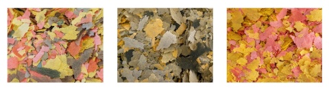 Zestaw pokarmów Tropical 600g/3150ml – Ichtio-Vit, Bio-Vit, Ovo-Vit dla ryb