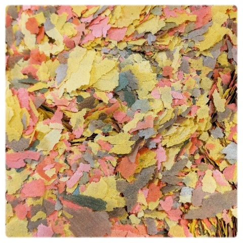 Zestaw pokarmów Tropical 600g/3150ml – Ichtio-Vit, Bio-Vit, Ovo-Vit dla ryb