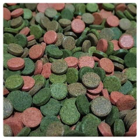 Tropical Mix Tablet 1 kg – tabletki dla ryb wszystkożernych, mix A