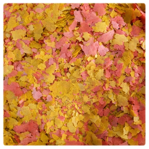 Tropical Ovo-Vit wiadro 21L/4kg Pokarm dla ryb wzmacniający z żółtkami jaj