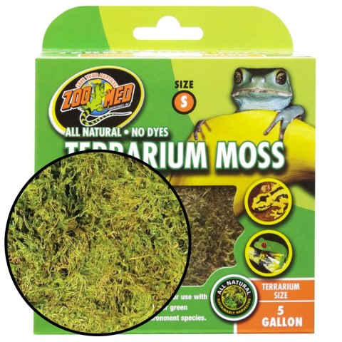 Zoomed terrarium moss – Mech torfowiec 1,64 l