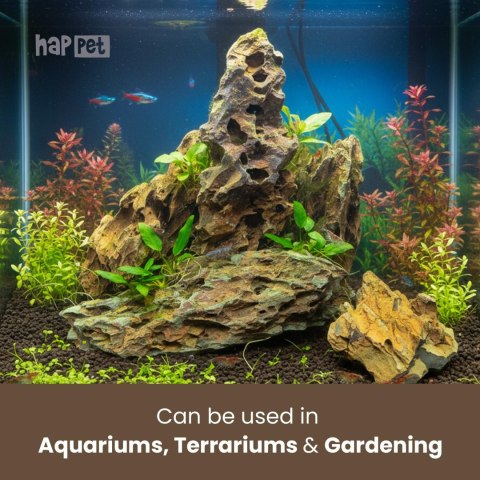 Kamień Dragon Stone Happet kg