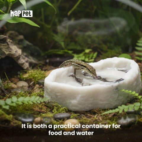 Miska do terrarium Happet R125