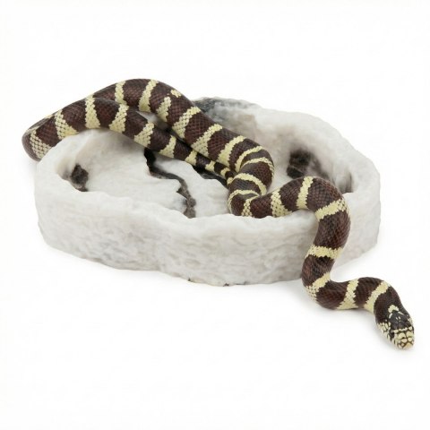 Miska do terrarium Happet R125