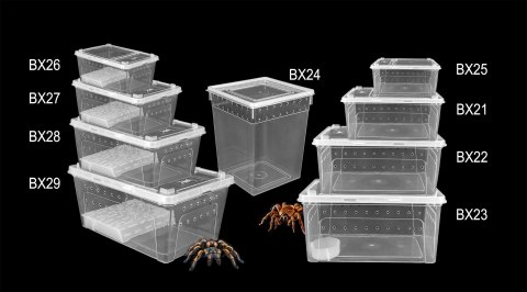 Pojemnik hodowlany BREEDING BOX 26x17,5x11,5 cm