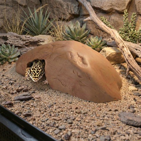 R180 jaskinia pustynna kryjówka