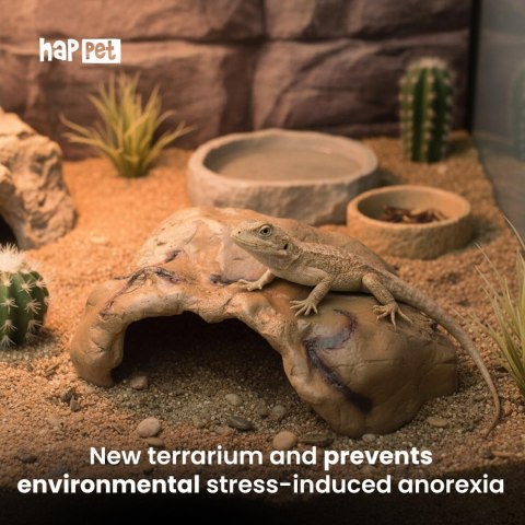 R199 jaskinia kryjówka terrarium XL