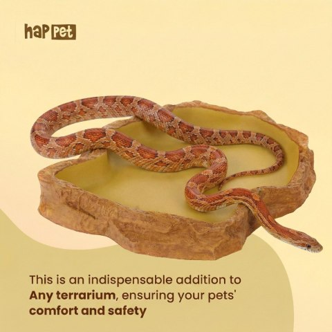 R202 miska płaska terrarium XL