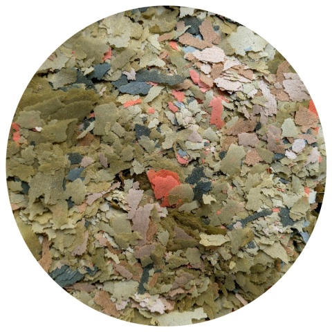 Tropical Malawi 4kg 21l – pokarm roślinny w płatkach dla pyszczaków Malawi