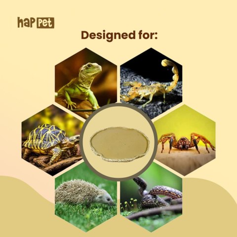 U827 miska terrarium płaska