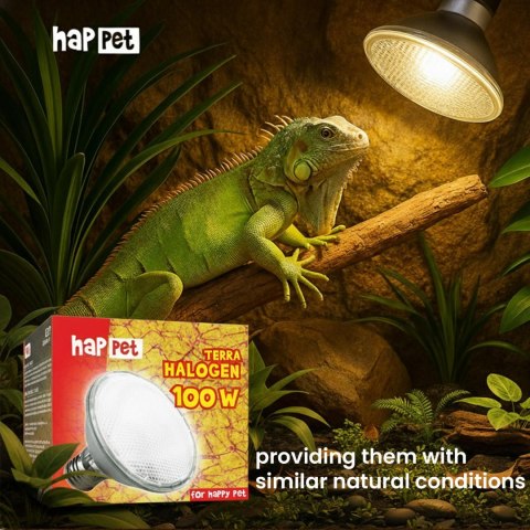 Żarówka Terra Halogen Happet 100W