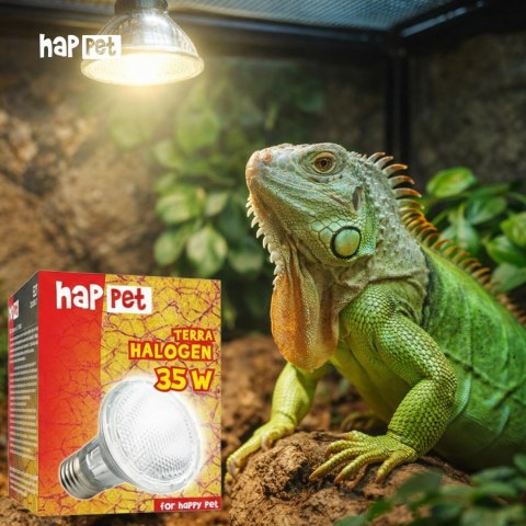 Żarówka Terra Halogen Happet 35W