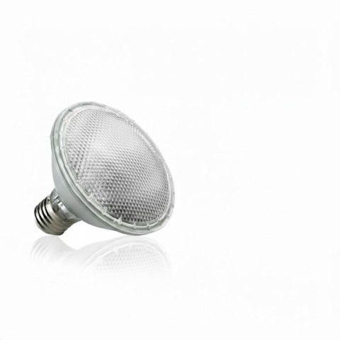 Żarówka Terra Halogen Happet 75W