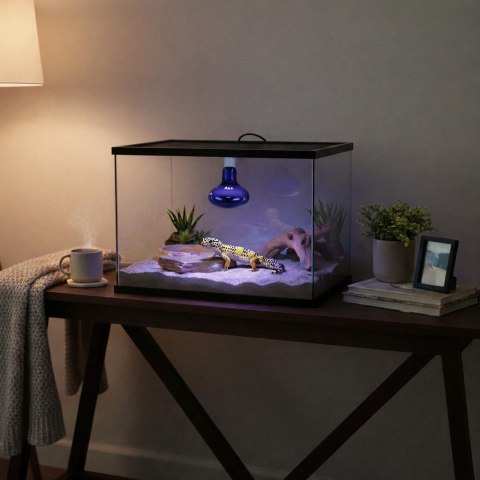 Żarówka Terra Night Heat Blue 60W