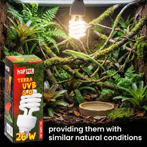 Żarówka Terra UVB Happet 5.0/26W