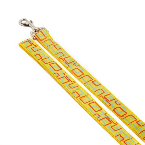 Komplet smycz i obroża Basic Style, szerokość 2.5 cm