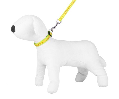 Komplet smycz i obroża Basic Style, szerokość 2.5 cm