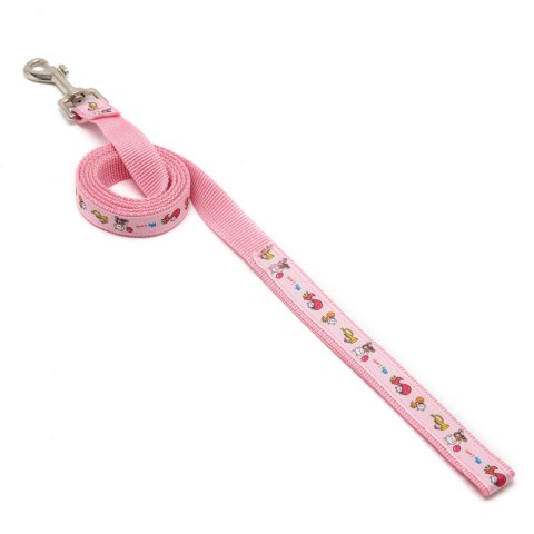 Komplet smycz i obroża Basic Style, szerokość 2 cm