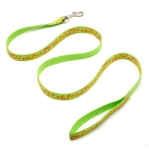 Komplet smycz i obroża Basic Style, szerokość 2 cm