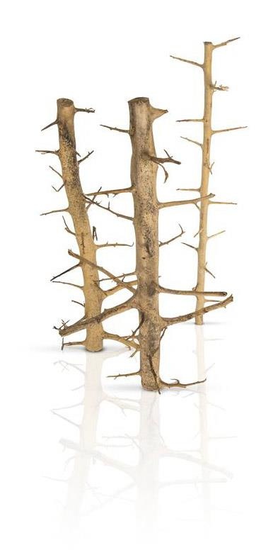 ProGrow Tree Wood XL 60-100 cm – naturalny korzeń do akwarium typu forest