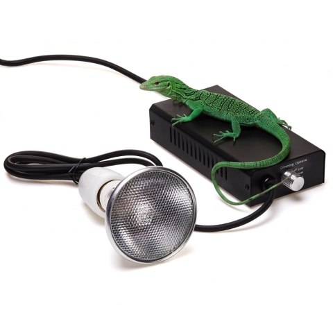 Statecznik Terra Metahalogen Happet - balast zmienny