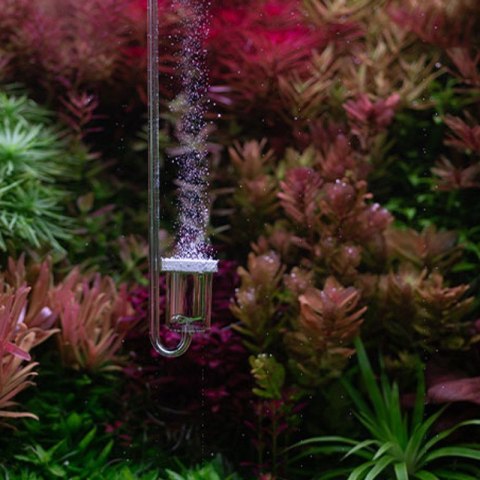 Neo Diffuser Special Normal S CO2 + Clip White - dyfuzor + kolanko CO2 do akwarium 12mm