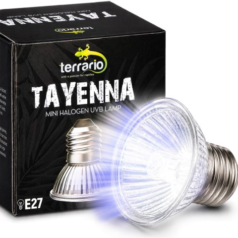 Terrario Tayenna 25W - mini halogen UVB