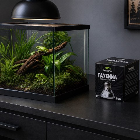 Terrario Tayenna 50W - mini halogen UVB