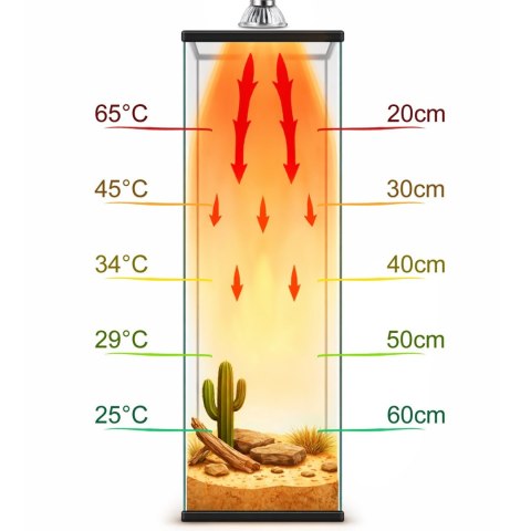 Terrario Tayenna 50W - mini halogen UVB