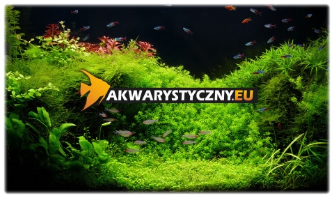 Tło czarne matowe samoprzylepne do akwarium 150x50cm