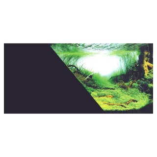 ZOLUX Tło do akwarium dwustronne Amazonka/czarne 60 x 120 cm (354921)