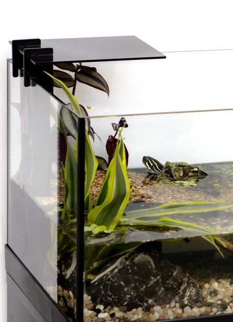 Aquael AquaTerrarium 80 dla żółwi i krabów z filtrem