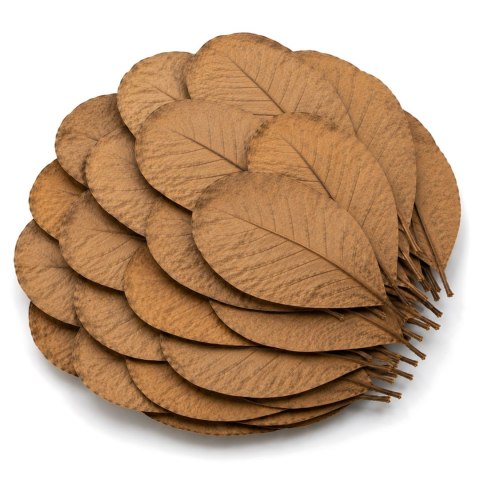 Kruger Meier Shrimp Leaves XL - liście ketapangu 20 sztuk
