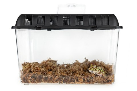 TERRA BOX pojemnik hodowlany 20x20x17 cm transporter