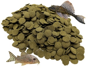 Pokarm dla Ryb Dennych Spirulina Glonojad Kirysek Algen Wafers 100g
