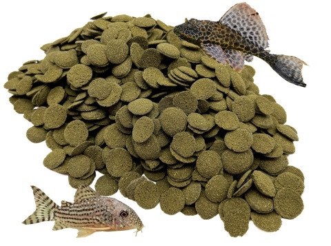 Pokarm dla Ryb Dennych Spirulina Glonojad Kirysek Algen Wafers 100g