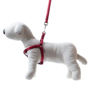Happet Smycz + szelki Soft Style czerwone S 1 cm